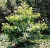 Paisagens / Plantas