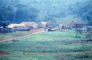 Vista da Reserva Rio das Cobras Laranjal do Sul Paraná 1976 APG00824